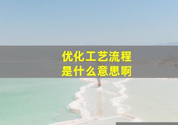 优化工艺流程是什么意思啊