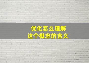 优化怎么理解这个概念的含义