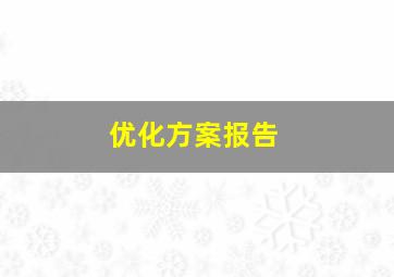 优化方案报告