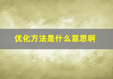 优化方法是什么意思啊