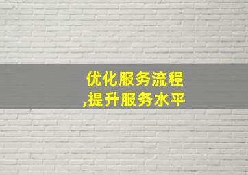 优化服务流程,提升服务水平