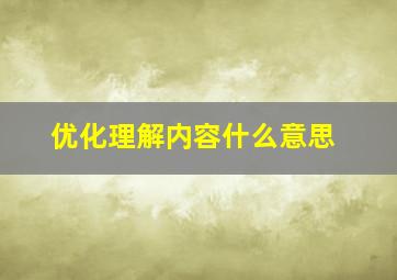 优化理解内容什么意思