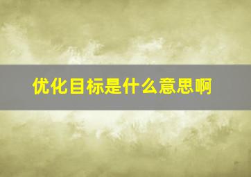 优化目标是什么意思啊