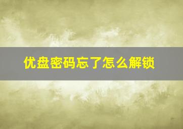 优盘密码忘了怎么解锁