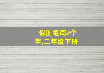 似的组词2个字,二年级下册