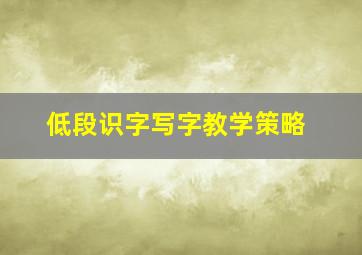 低段识字写字教学策略