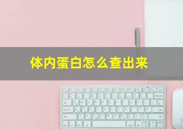 体内蛋白怎么查出来