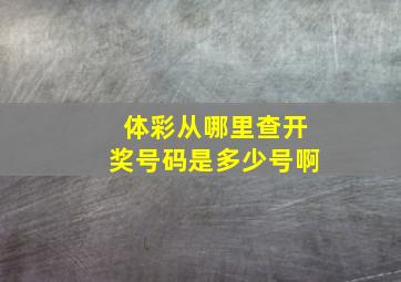 体彩从哪里查开奖号码是多少号啊