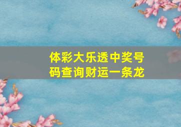 体彩大乐透中奖号码查询财运一条龙