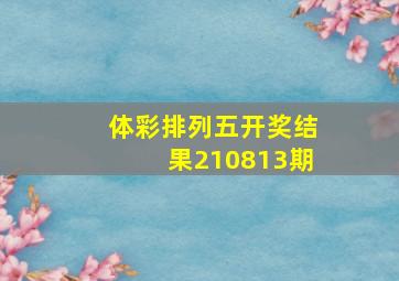 体彩排列五开奖结果210813期