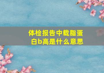 体检报告中载脂蛋白b高是什么意思