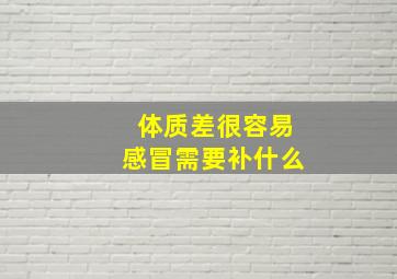 体质差很容易感冒需要补什么