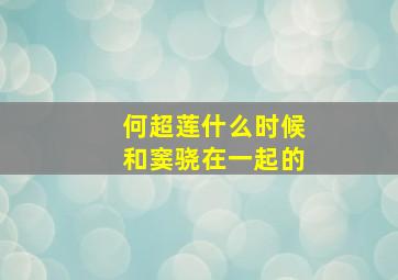 何超莲什么时候和窦骁在一起的