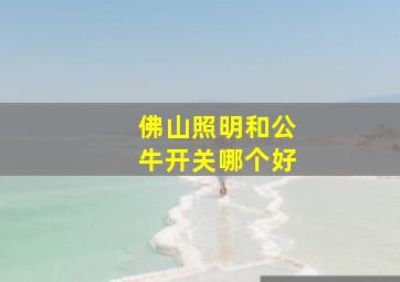 佛山照明和公牛开关哪个好