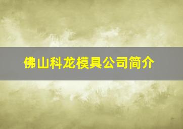 佛山科龙模具公司简介