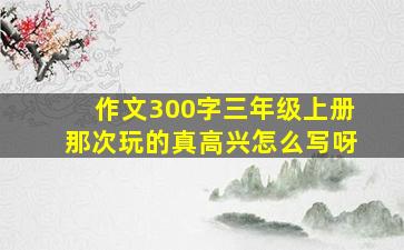 作文300字三年级上册那次玩的真高兴怎么写呀