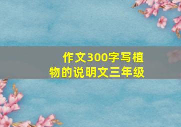 作文300字写植物的说明文三年级