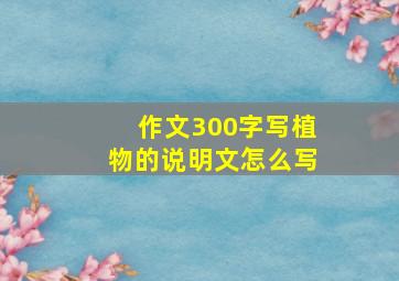 作文300字写植物的说明文怎么写