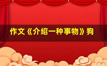 作文《介绍一种事物》狗