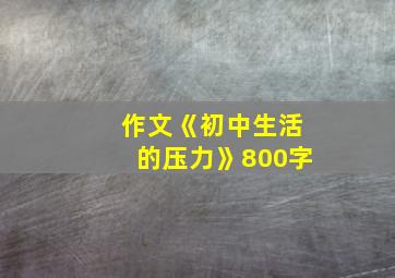 作文《初中生活的压力》800字