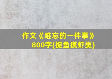 作文《难忘的一件事》800字(捉鱼摸虾类)