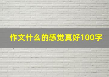 作文什么的感觉真好100字