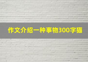 作文介绍一种事物300字猫