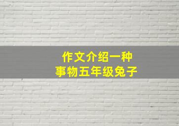 作文介绍一种事物五年级兔子