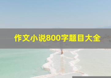 作文小说800字题目大全