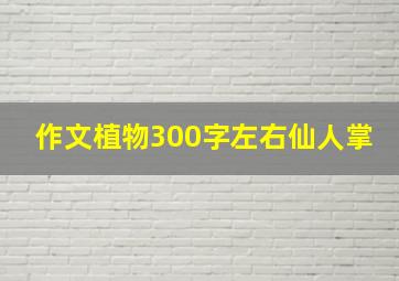 作文植物300字左右仙人掌