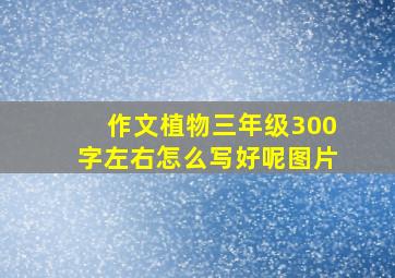 作文植物三年级300字左右怎么写好呢图片