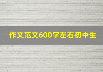 作文范文600字左右初中生