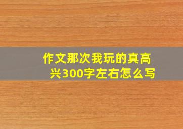 作文那次我玩的真高兴300字左右怎么写