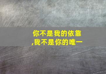 你不是我的依靠,我不是你的唯一