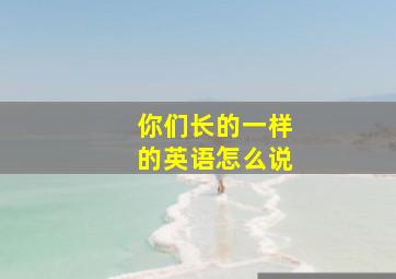 你们长的一样的英语怎么说