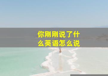 你刚刚说了什么英语怎么说