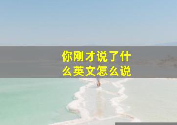 你刚才说了什么英文怎么说