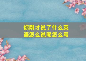 你刚才说了什么英语怎么说呢怎么写