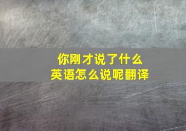 你刚才说了什么英语怎么说呢翻译