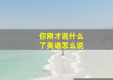 你刚才说什么了英语怎么说