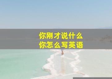 你刚才说什么你怎么写英语