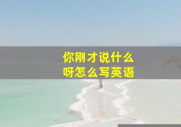 你刚才说什么呀怎么写英语