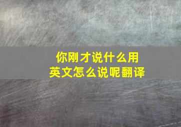 你刚才说什么用英文怎么说呢翻译