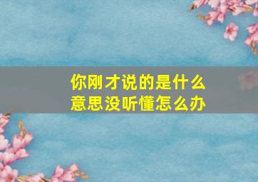 你刚才说的是什么意思没听懂怎么办