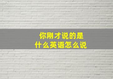 你刚才说的是什么英语怎么说