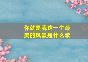 你就是我这一生最美的风景是什么歌