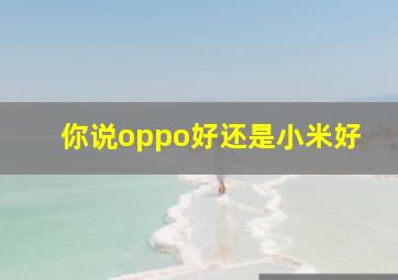 你说oppo好还是小米好