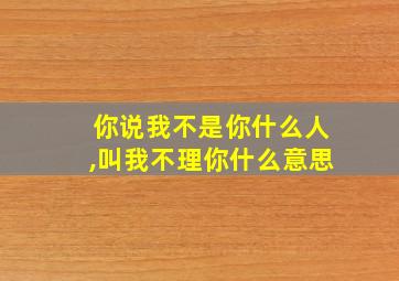 你说我不是你什么人,叫我不理你什么意思