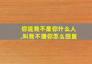 你说我不是你什么人,叫我不理你怎么回复