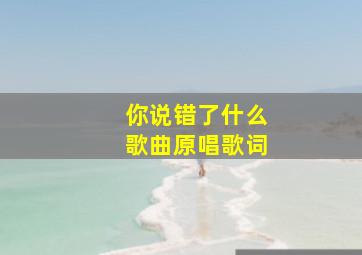 你说错了什么歌曲原唱歌词